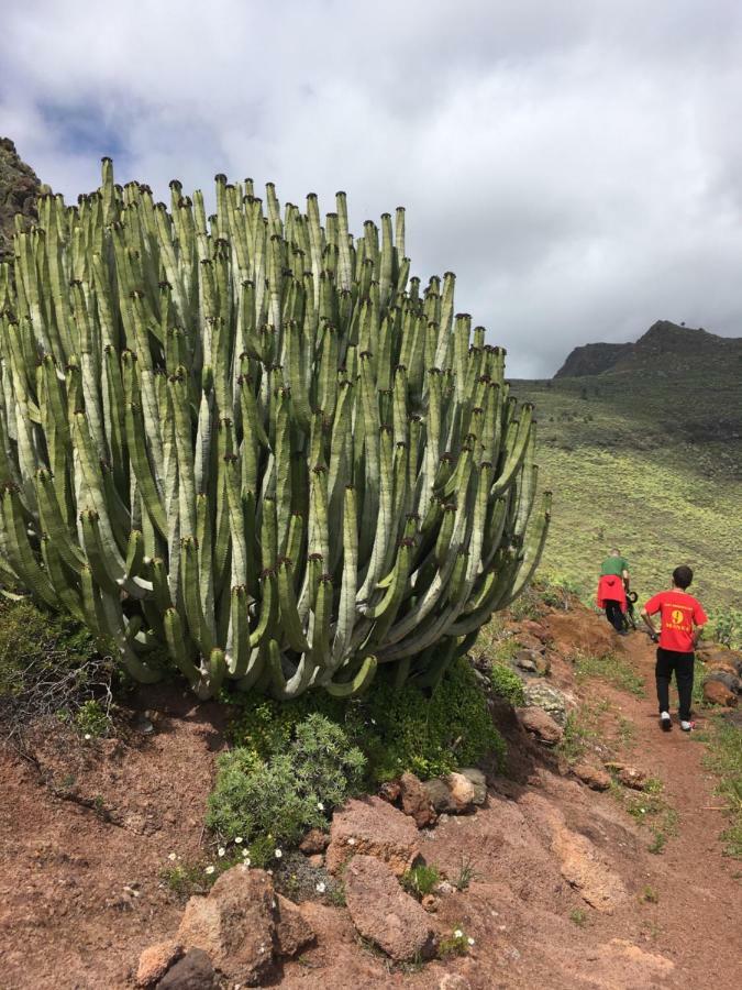 Casa Manel, La Gomera San Sebastián de la Gomera Kültér fotó